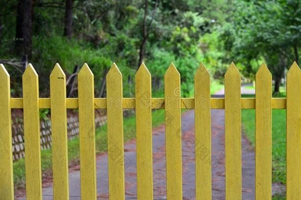 黄色的木制的栅栏和走道