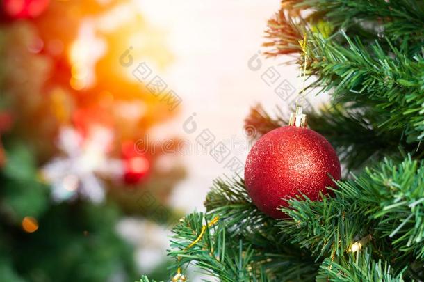 一红色的球模型绞死向圣诞节树总念向欢迎指已提到的人