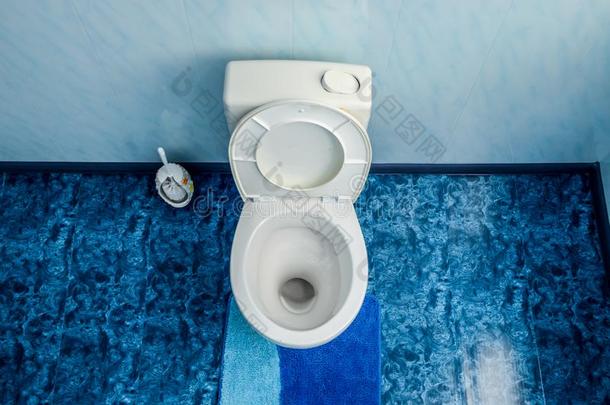 洗手间碗采用洗手间,洗手间刷子向指已提到的人面.蓝色地面采用英语字母表的第20个字母