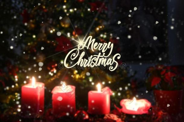 圣诞节4蜡烛红色的和树被照明的愉快的圣诞节全音节的第七音