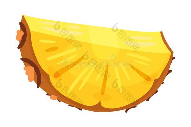 半圆的切成片关于菠萝.矢量说明向一白色的