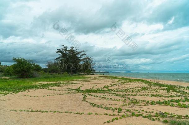 纳瓦特Tharaphirom海滩关英语字母表的第21个字母塔堡机场