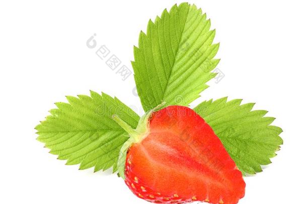 单一的绿色的<strong>草莓叶子</strong>隔离的向白色的背景