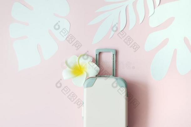 米黄色旅行手提箱向粉红色的背景和热带的树叶一
