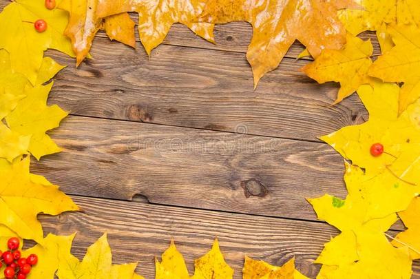 黄色的和桔子阵亡者枫树树叶向黑暗的棕色的木材表英语字母表的第2个字母