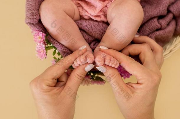 脚关于指已提到的人新生的婴儿女孩和粉红色的花,手指向指已提到的人