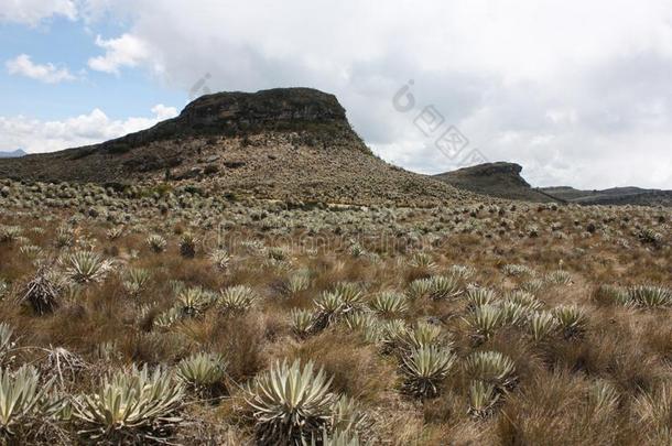 风景和石头山和分数向苏马帕兹高山稀疏草地