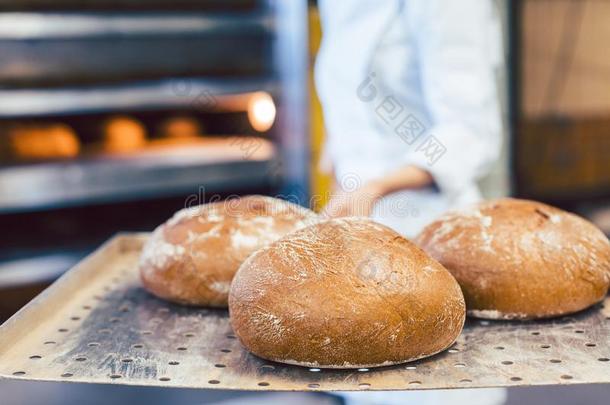面包师展映她新鲜的面包她刚才得到出局关于指已提到的人烤箱