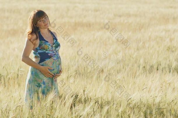 一怀孕的年幼的女人看台采用一whe一t田一t日落.