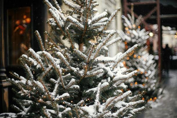 圣诞节<strong>大街</strong>布置.时髦的圣诞节树和金庆祝<strong>活动</strong>