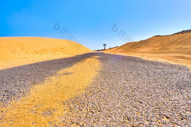 一路人行横道一干旱的沙丘地形