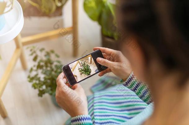 女人迷人的照片关于盆栽的植物和她智能手机