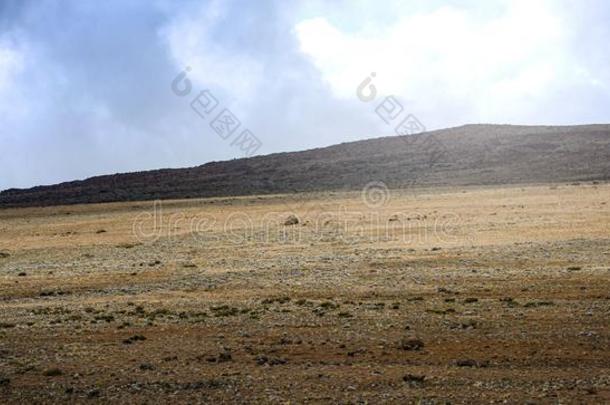 沙漠风景关于乞力马扎罗山山,乞力马扎罗山国家的