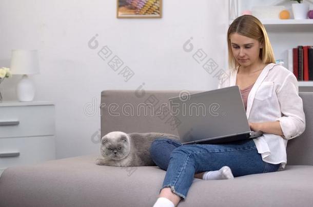女孩搜索的审查网站向便携式电脑向登记猫为审查erin