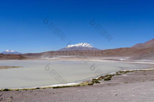 高原高原和很一般自然采用玻利维亚条子毛绒