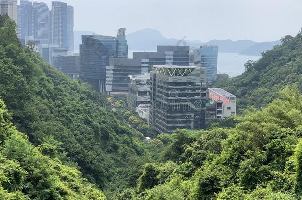 海看和绿色的小山奢侈房间.