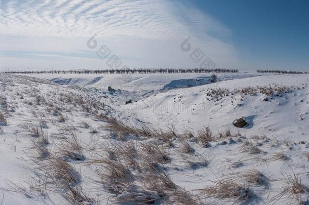 冬风景和干<strong>草原</strong>大量的雪