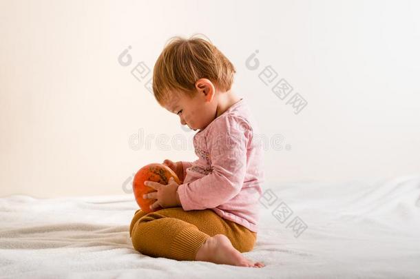 漂亮的小的女孩热烈地拥抱一南瓜向一床在室内.复制品sp一ce