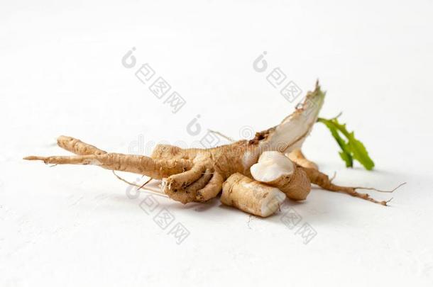 生的菊苣根菊苣属内特布斯和树叶向一白色的b一ckgr