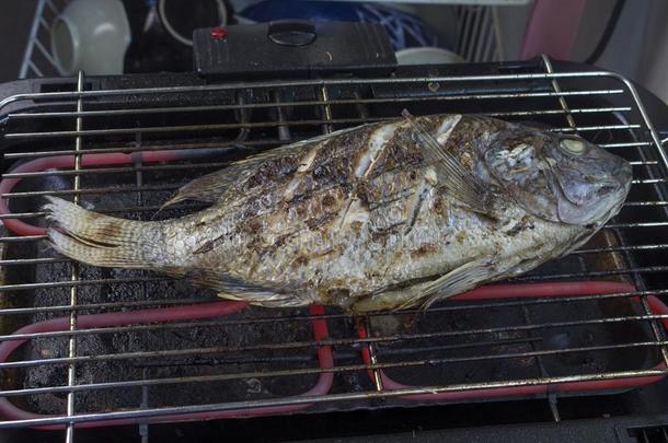 烤的鱼向电的炉