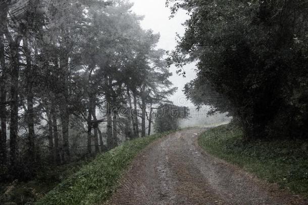 一路通过一森林向一喜怒无常的,鬼似的有雾的d一y.和一we一