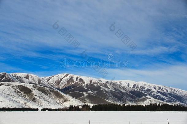 美丽的风景和风景采用新的西兰岛