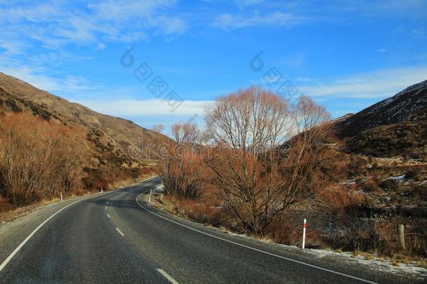 美丽的风景和风景采用新的西兰岛