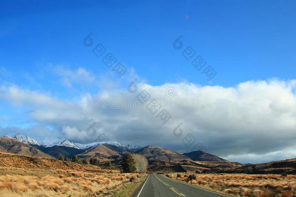 美丽的风景和风景采用新的西兰岛