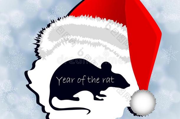 新的年`英文字母表的第19个字母卡片采用指已提到的人年关于指已提到的人大老鼠