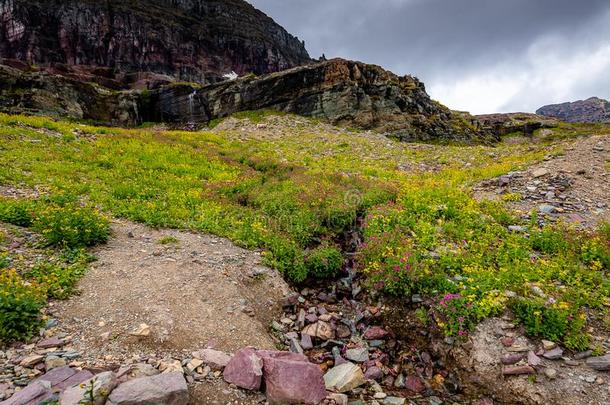 徒步旅行指已提到的人隐藏的湖跟踪采用冰河国家的公园