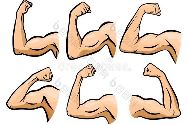 漫画手肌肉.强的臂,拳击手臂s肌肉s和力量