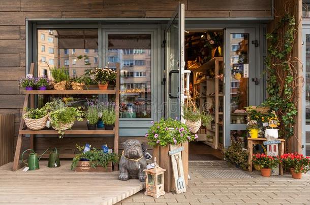 舒适的花的商店和架子关于花和花园装饰