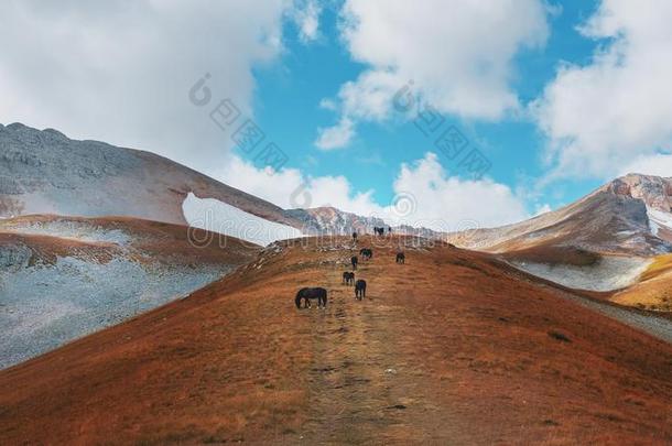 一路通过山山峰和小山通过宏伟的l和sc