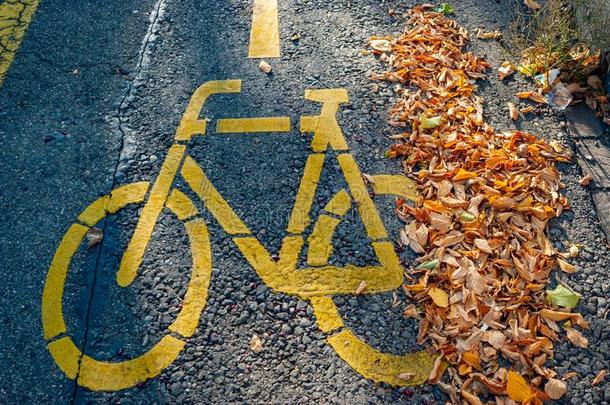黄色的自行车符号和秋叶子