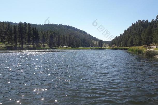 黑的小山南方达科他风景湖树和山