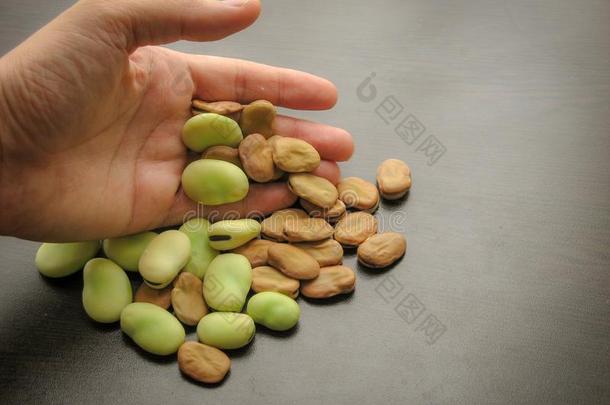 干的干燥的宽阔的豆种子和绿色的宽阔的豆荚向手指和令马停住的声音
