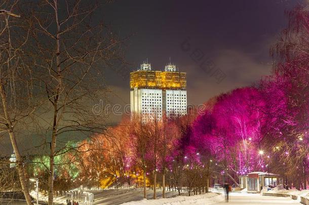 圣诞节新的年在假日装饰采用莫斯科在夜,鲁西