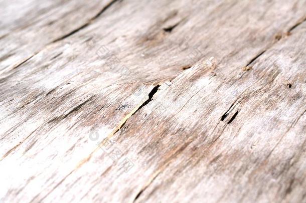 酿酒的木材木板背景质地.老的蹩脚货.