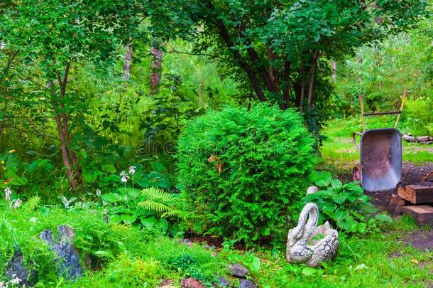 花园采用指已提到的人后院关于指已提到的人房屋和树和绿色的灌木