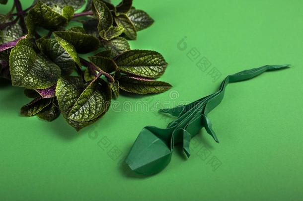 手工做的造纸术艺术蜥蜴手工制作关于折纸手工纸向一关口
