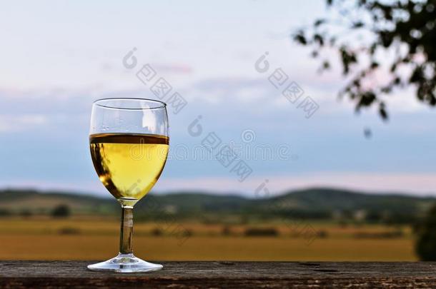 玻璃关于白色的葡萄酒和乡下的背景