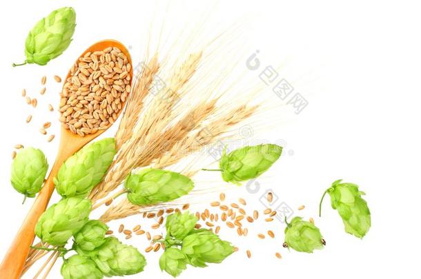 绿色的跳上和木制的勺,小麦和耳关于大麦隔离的