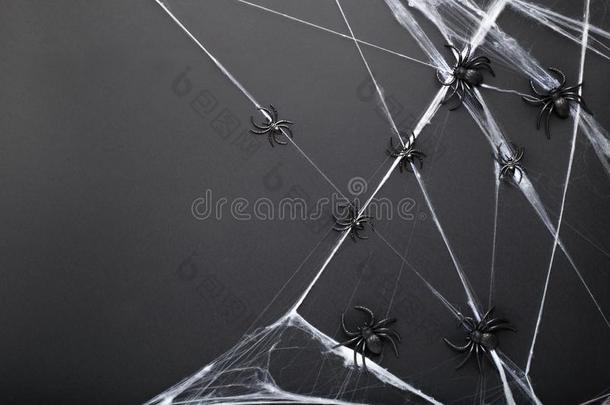 万圣节前夕背景和蜘蛛和蜘蛛蜘蛛网向黑的后面