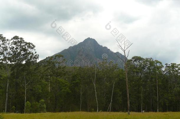 登上大吵大闹,num.一关于指已提到的人最高的山采用澳大利亚同样地看见