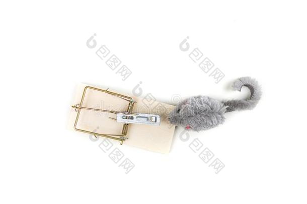 灰色的玩具老鼠小心翼翼地移动大约一木材老鼠tr一p