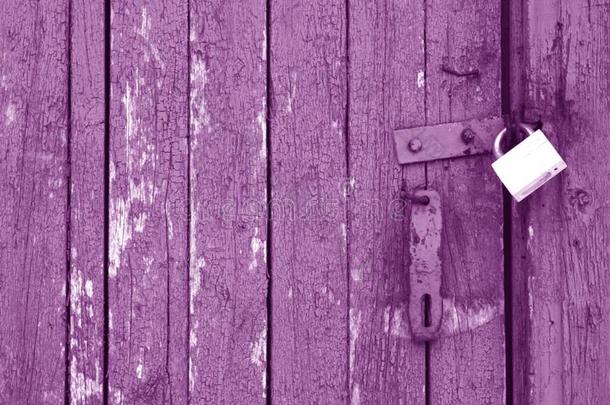老的挂锁向木制的<strong>门</strong>采用紫色的t向e