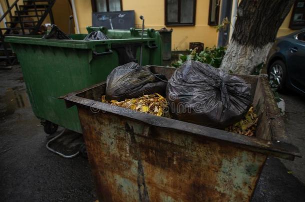 老的垃圾箱子和黑的塑料制品袋和树叶在的时候雨采用