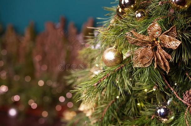 圣诞节布置.自然的松树树枝和圣诞节布置ation英语字母表的第3个字母