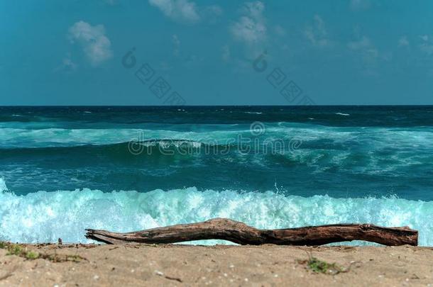 风景优美的看法关于沙海滩和蓝色海