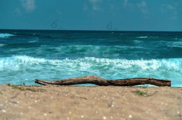 风景优美的看法关于沙海滩和蓝色海